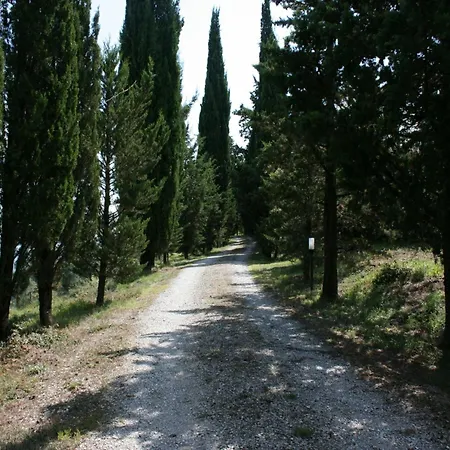 Charming Countryside With Pool Ciggiano